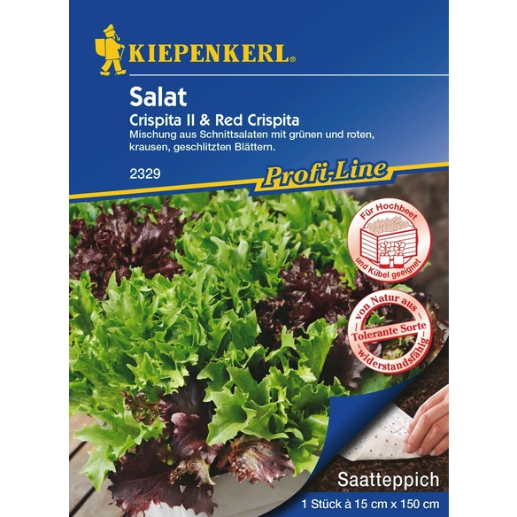 Salat Crispita II Red Crispita 1 Stück a 15 x 150 cm hagebau de