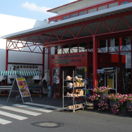 Wandpaneele Wandpaneele