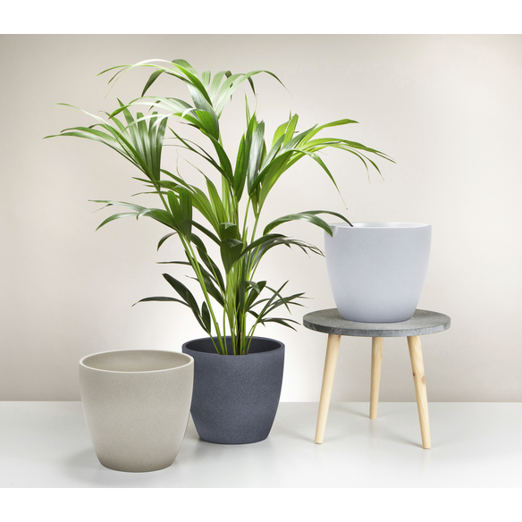 SCHEURICH Übertopf »STONE«, Breite 25 cm, taupe, Keramik hagebau.de