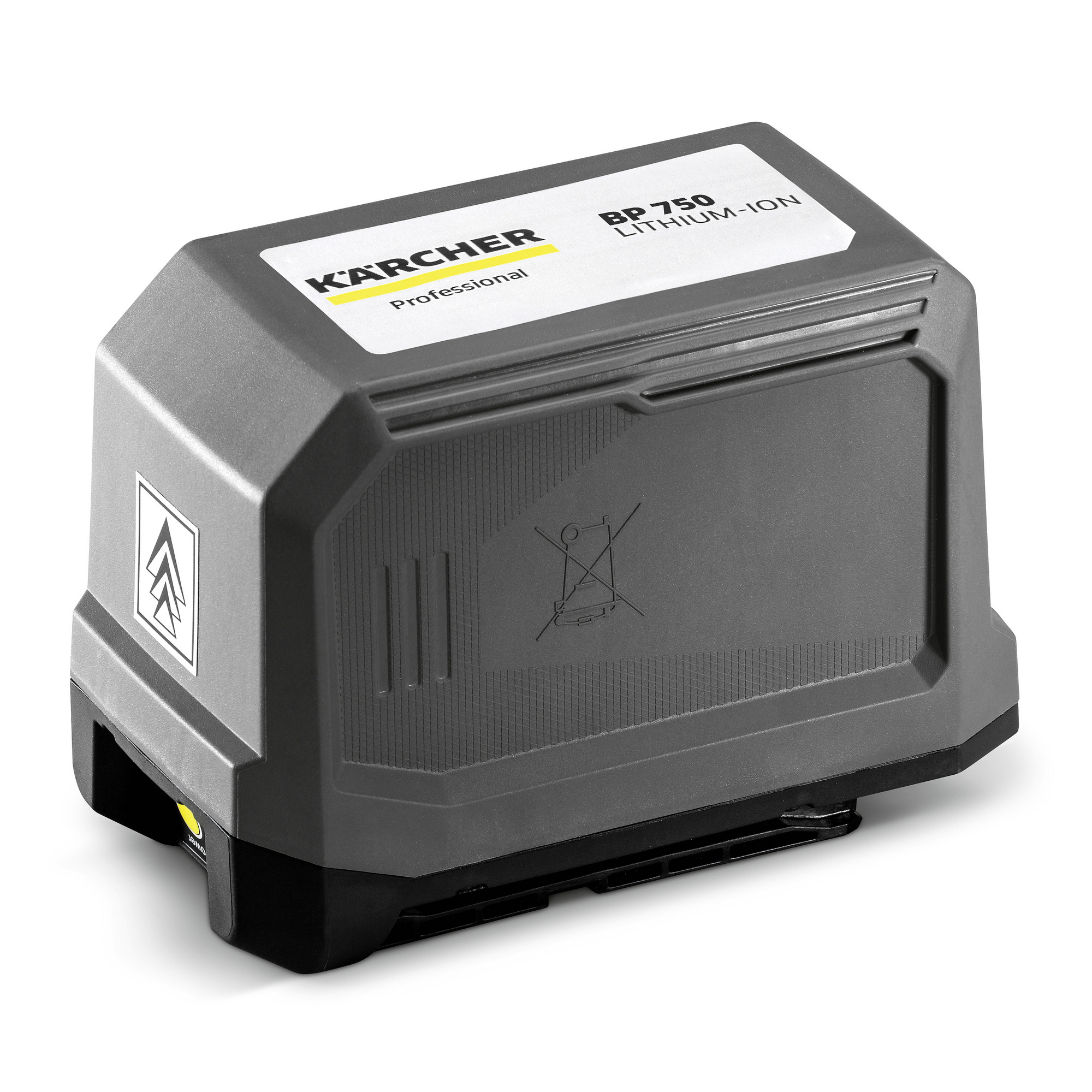 KÄRCHER PROFESSIONAL Akkupack für Sauger BR 30/4 C Bp Pack, BV 5/1 Bp
