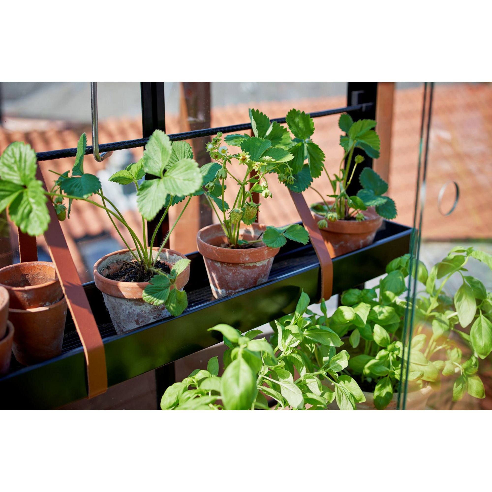 JULIANA Gewächshaus »City Greenhouse«, BxT 40 x 80 cm, 3 mm