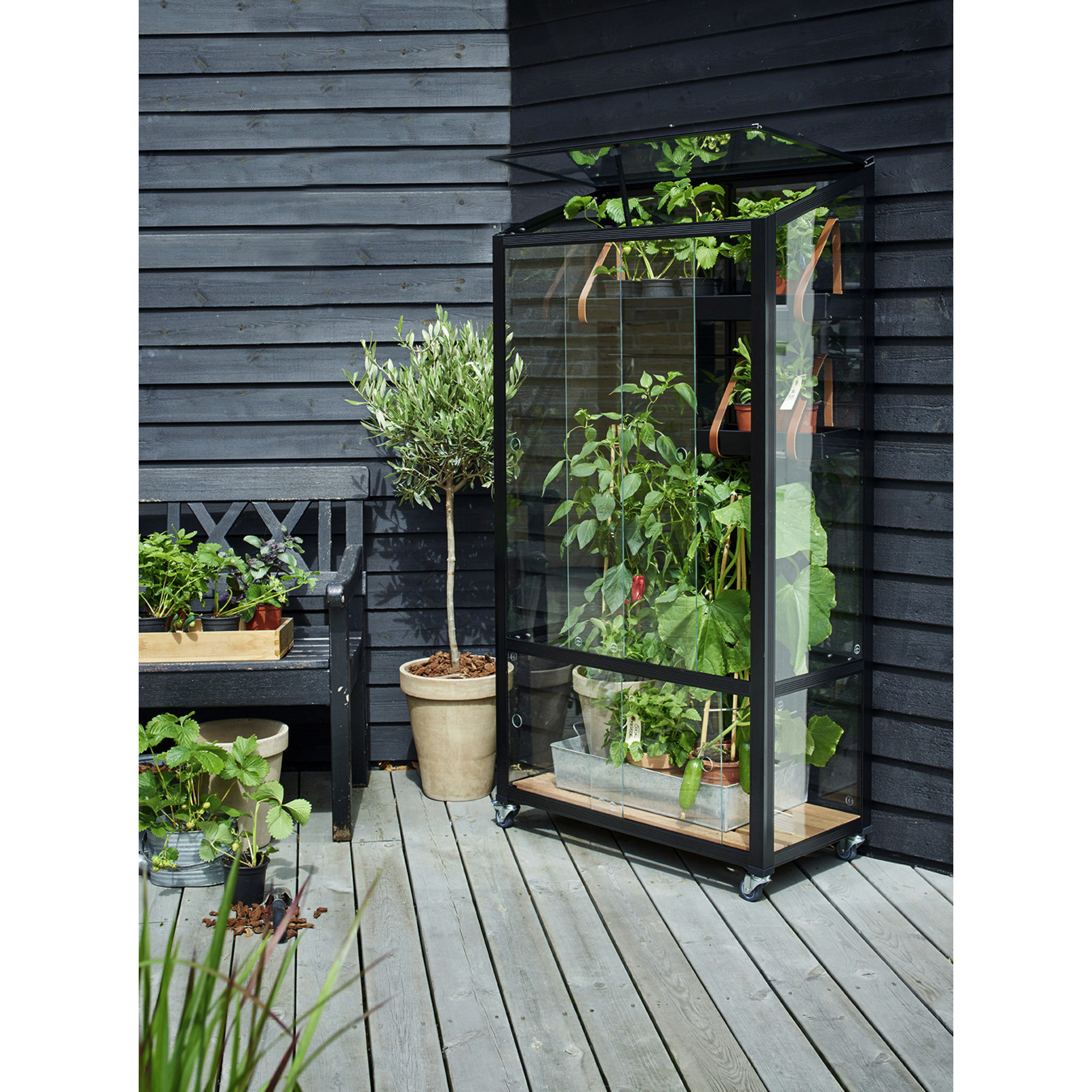 JULIANA Gewächshaus »City Greenhouse«, BxT 40 x 80 cm, 3 mm