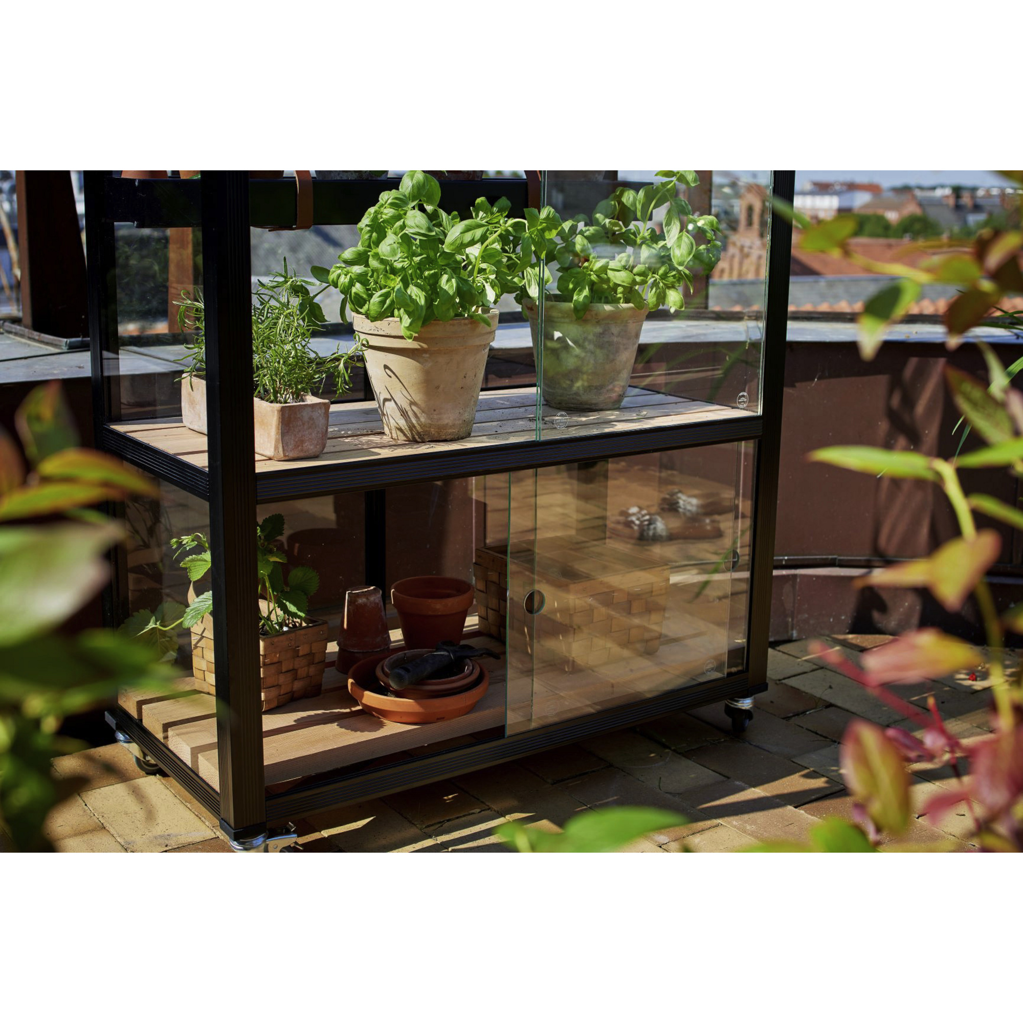 JULIANA Gewächshaus »City Greenhouse«, BxT 40 x 80 cm, 3 mm