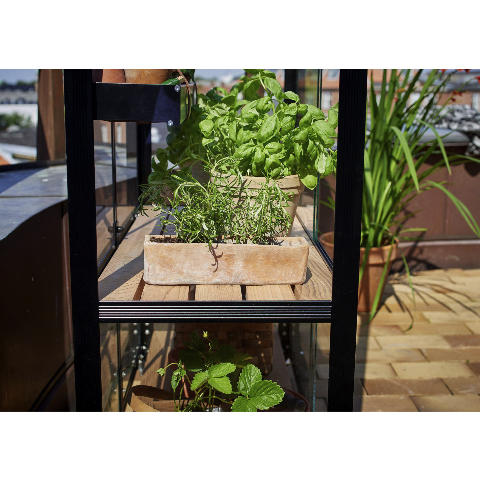 JULIANA Gewächshaus »City Greenhouse«, BxT 40 x 80 cm, 3 mm