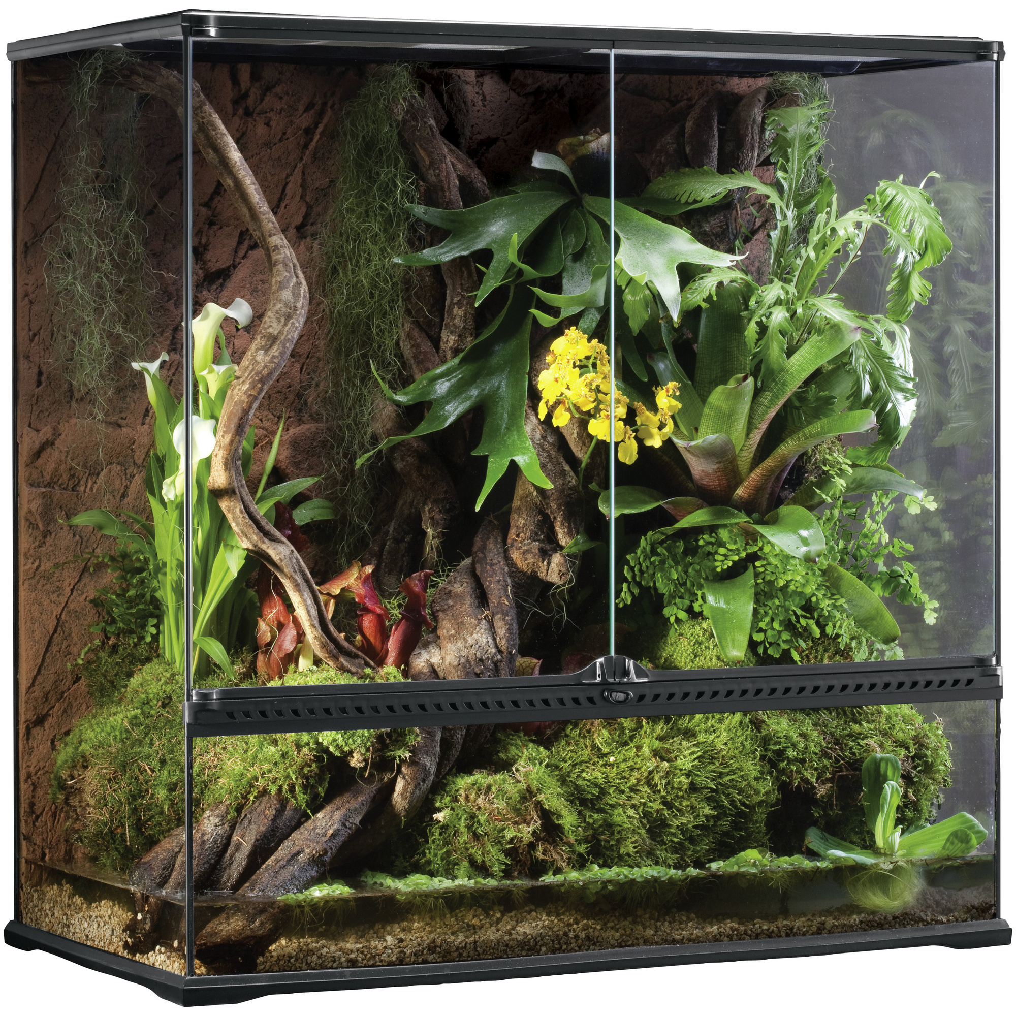 Terrarium 30x30x30 cm Pflanzen Spinnen Glasterrarium Mit Belüftung Und Falltür Terrarium 30x30x30 cm Pflanzen Spinnen Glasterrarium Mit Belüftung Und Falltür