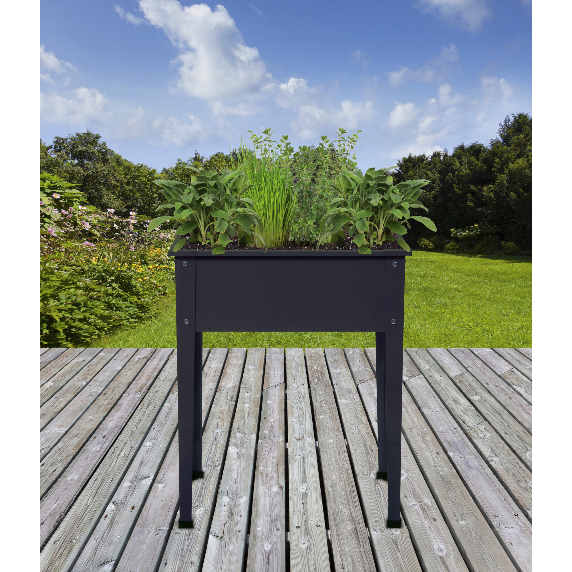 FLORAWORLD Hochbeet »Season«, BxHxL 60 x 80 x 30 cm, Stahl hagebau.de