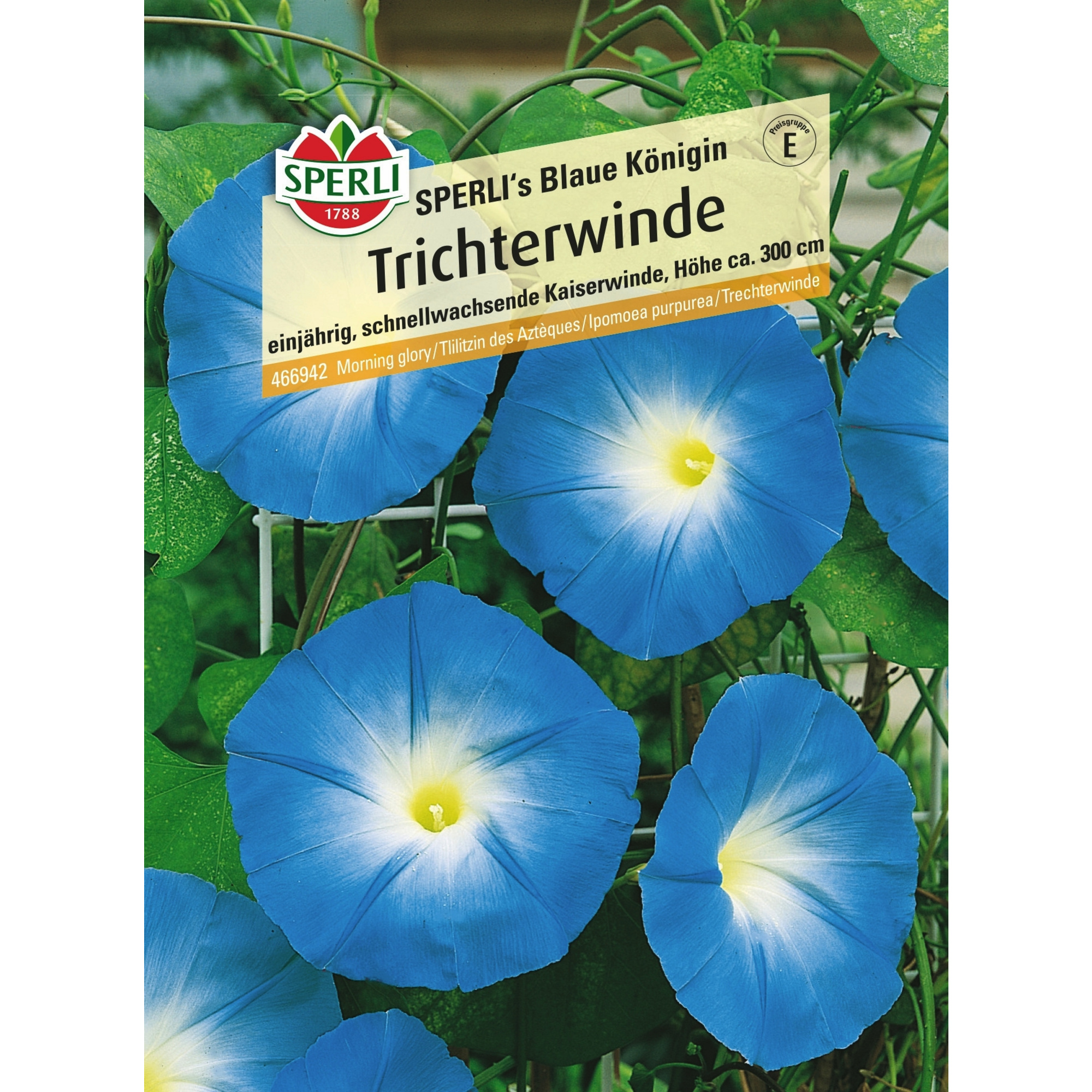 Sperli GmbH Kaiserwinde »SPERLI's Blaue Königin«, einjährig, wüchsige