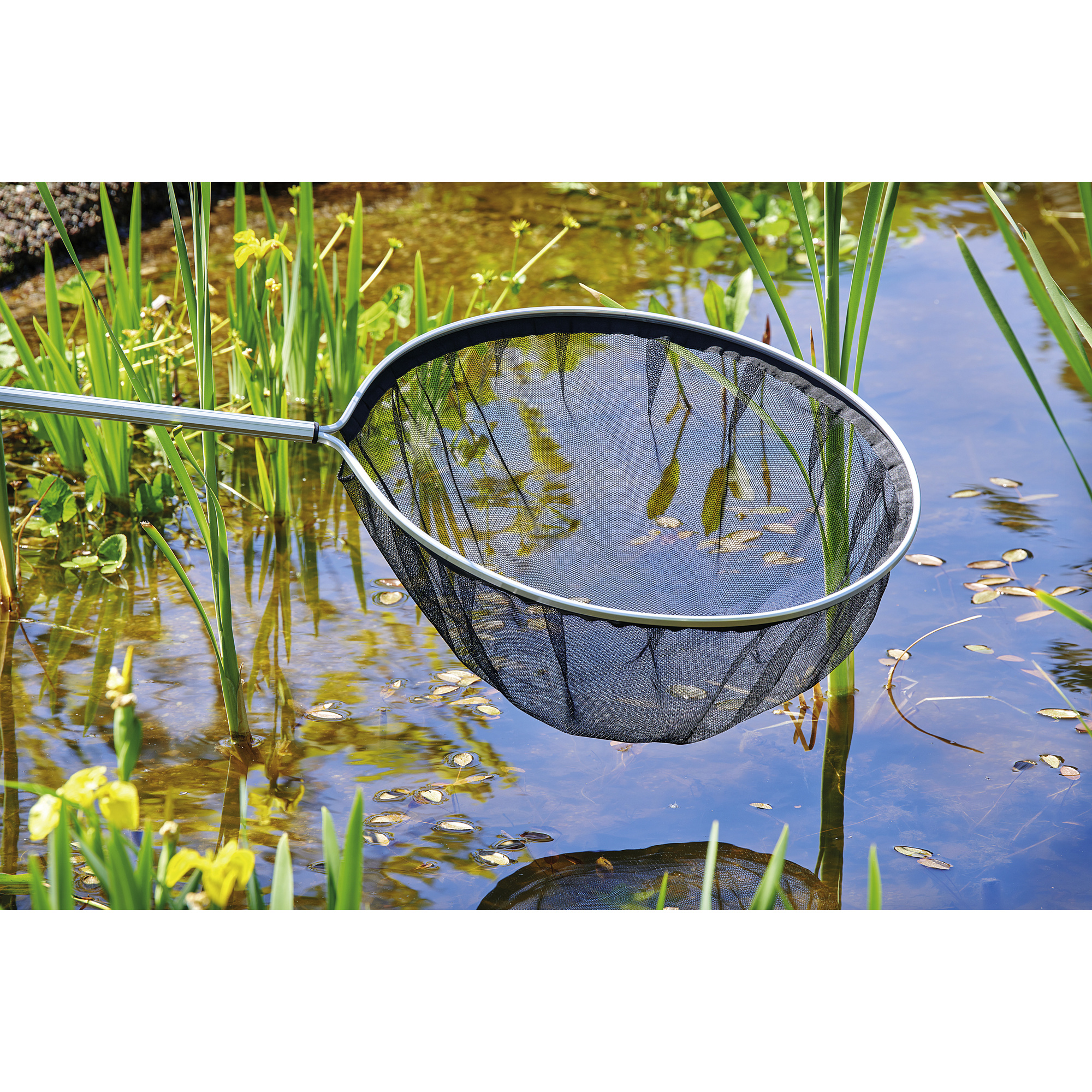 OASE Kescher, große Fische, kleine Teichbewohner, feine Algen
