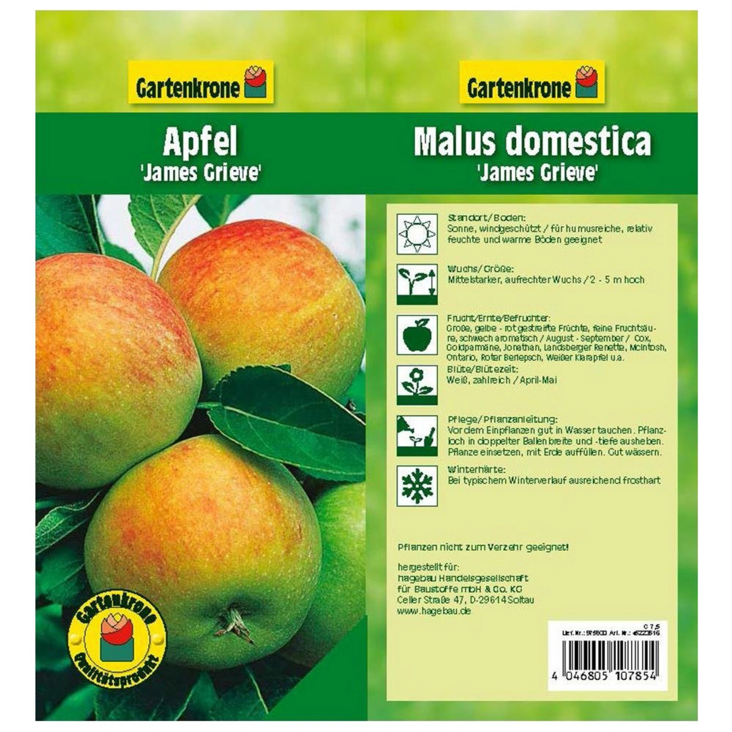 Gartenkrone Apfel, Malus »James Grieve«, domestica süß-säuerlich Früchte