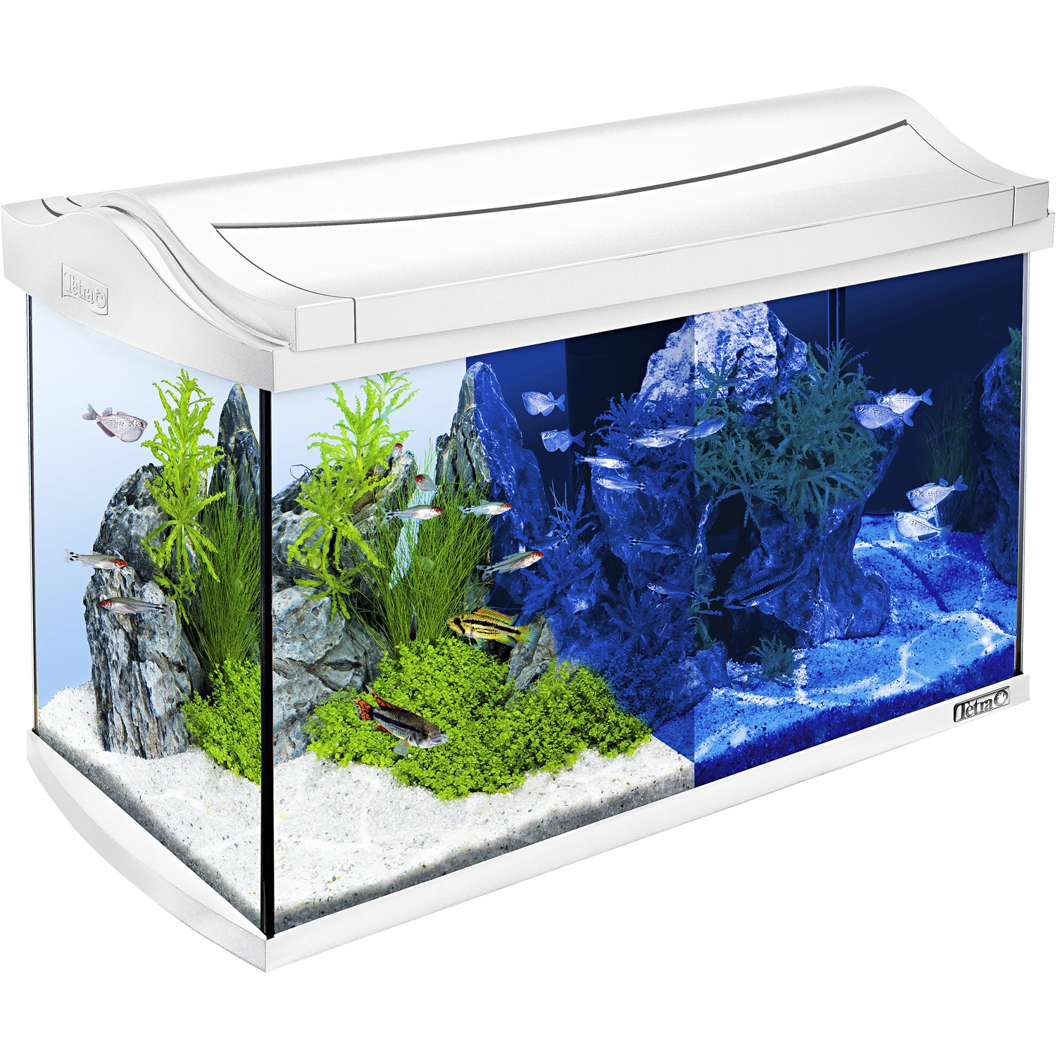 TETRA Tetra LED Komplett-Set Aquarium Weiß 60L AquaArt