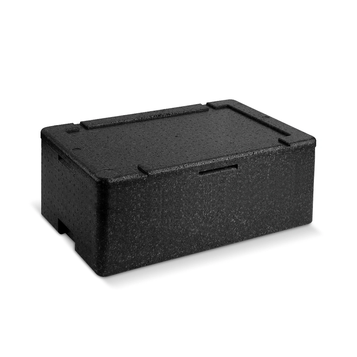 ETERNASOLID Thermobox, 46 l, Expandiertes Polypropylen (EPP), schwarz 