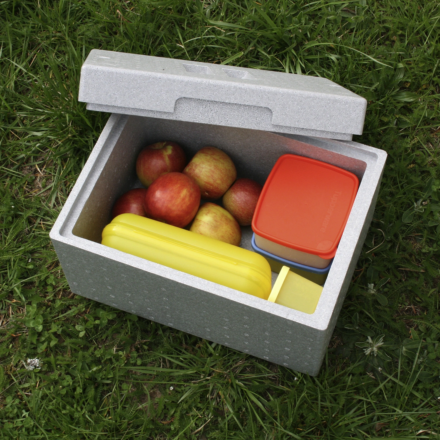Thermobox (54,5 x 35 x 30 cm, Geeignet für: Lebensmittel