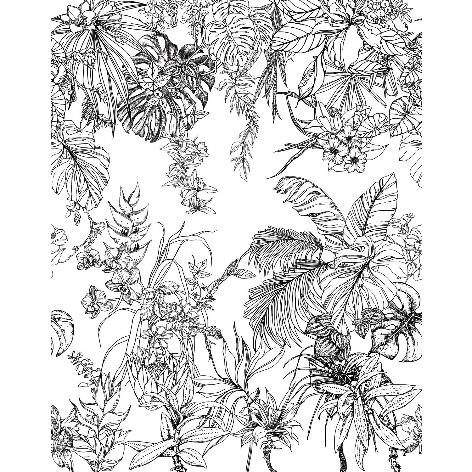 KOLLEKTION SCHÖNER Vliestapete, schwarz/weiß Dschungel, Blätter, WOHNEN