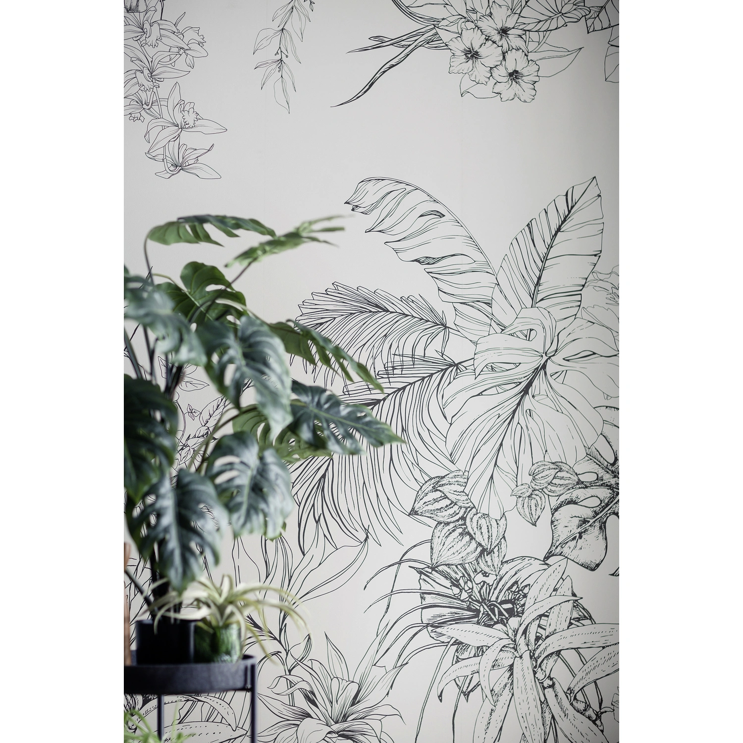 Blätter, Vliestapete, SCHÖNER Dschungel, WOHNEN KOLLEKTION schwarz/weiß