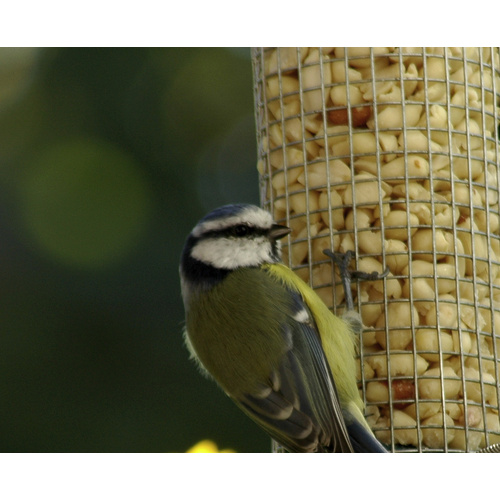 Thumbnail - DOBAR Vogelfuttersäule, Metall, silberfarben, zum Aufhängen