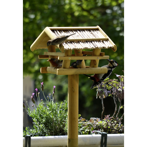 Thumbnail - DOBAR Vogelhaus, für Wildvögel, Kiefernholz/Bitumen, natur - braun