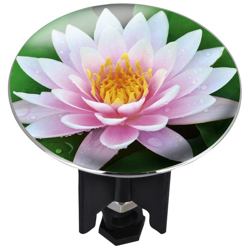 WENKO Waschbeckenstöpsel Lily, PLUGGY XL