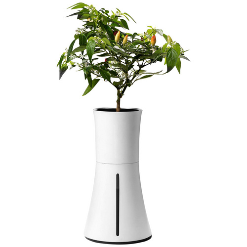 Selbstbewässernder Topf Botanium - Selbsbewässernder Topf, max. Wuchshöhe: 0 cm - weiss