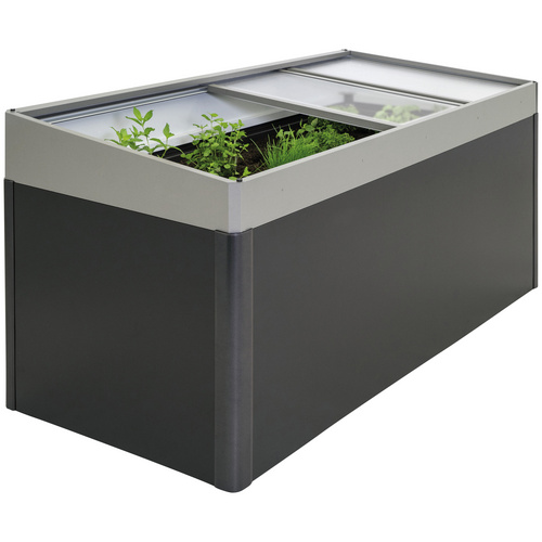 BIOHORT Frühbeetaufsatz für Hochbeet 2x1, BxHxL: 200 x 23 x 101 cm, quarzgrau