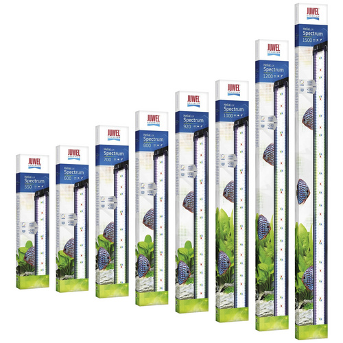 JUWEL AQUARIUM Leuchtmittel »HeliaLux Spectrum«, 40 W, rot|gruen|blau - schwarz