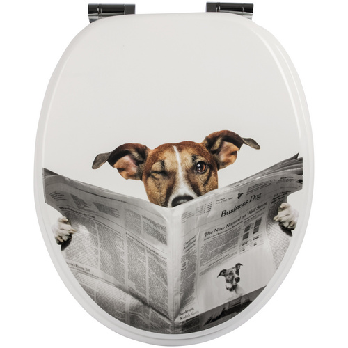 WC-Sitz Lesestoff