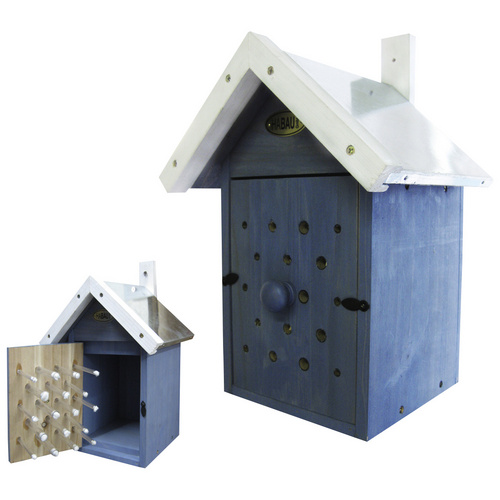 HABAU Bienen-Beobachtungen - blau
