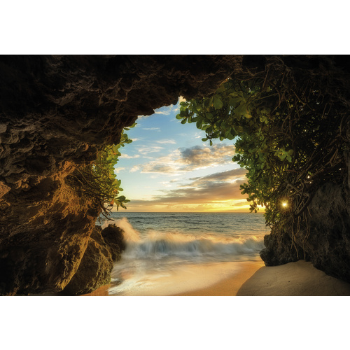 Komar Fototapete Hide Out 368 cm x 254 cm
