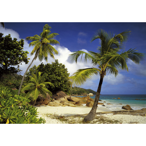 Komar Fototapete Praslin 368 cm x 254 cm