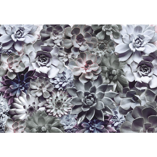 Komar Fototapete Shades 368 cm x 254 cm