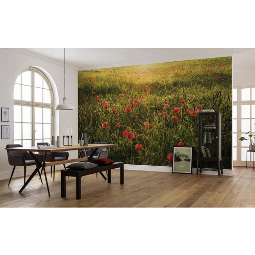 KOMAR Vliestapete »Poppy World«, Breite 450 cm, seidenmatt - bunt