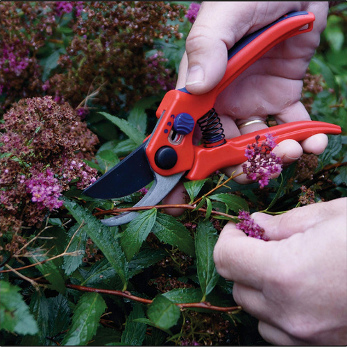 Thumbnail - CON:P Bypass-Schere, Klingenlänge: 40 mm, Stahl - rot