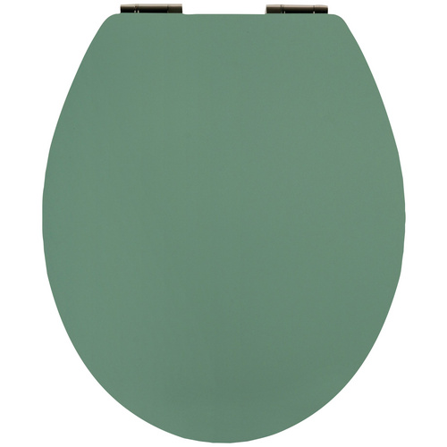 Sitzplatz WC-Sitz Trend Grün mit Absenkautomatik