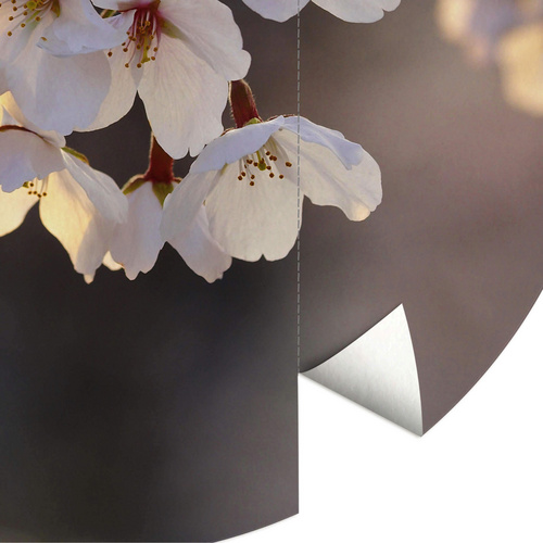Thumbnail - K&L Wall Art Vliestapete »Runde Vliestapete«, Kirschblüten Baum Knospen, mehrfarbig, matt - bunt