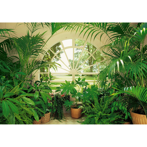 Home affaire Wandtapete, Wintergarden, 254/366 cm