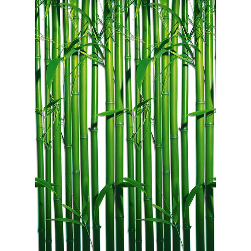 Home affaire Wandtapete, Bamboo, 183/254 cm