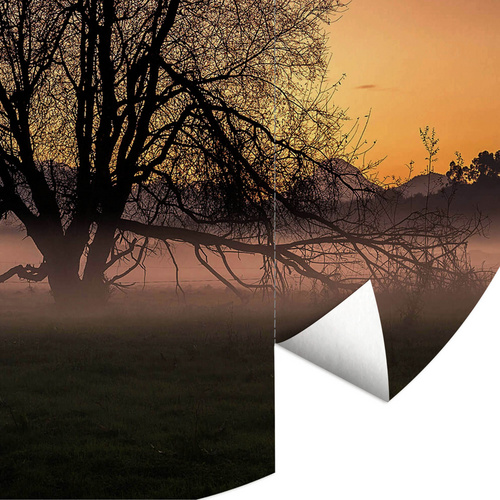Thumbnail - K&L Wall Art Vliestapete »Runde Vliestapete«, Cuadrado Nebel Baum des Lebens, mehrfarbig, matt - bunt