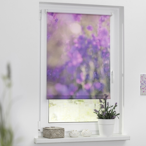 Lichtblick Rollo, ‎Klemmfix, 70x150 cm, Blumenwiese, fuchsia violett - lila