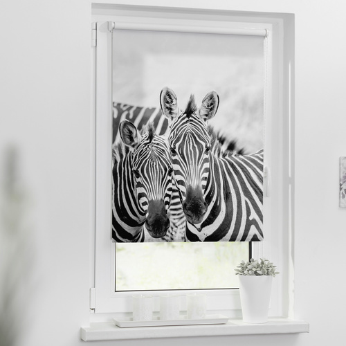 Lichtblick Rollo, ‎‎Klemmfix, 70x150 cm‎‎, Zebra, schwarz weiß - schwarz | weiss