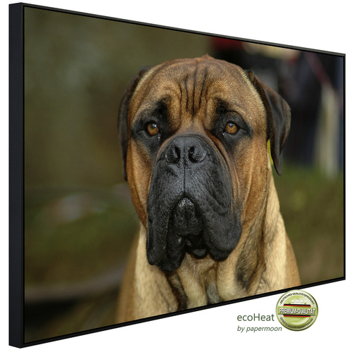 papermoon Infrarotheizung »EcoHeat – Bullmastiff«, Matt-Effekt – bunt