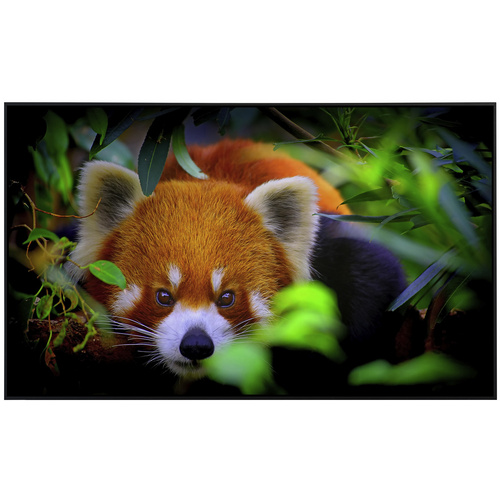 Thumbnail - papermoon Infrarotheizung »EcoHeat - Rotes Panda«, Matt-Effekt - bunt