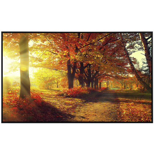 Thumbnail - papermoon Infrarotheizung »EcoHeat - Herbstwald«, Matt-Effekt - bunt