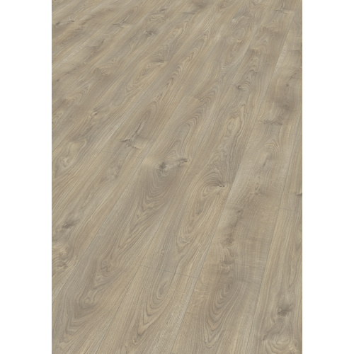 EGGER Laminat Belfort Eiche silber, 10mm, 1,746m², authentische Holzoptik, universell einsetzbar
