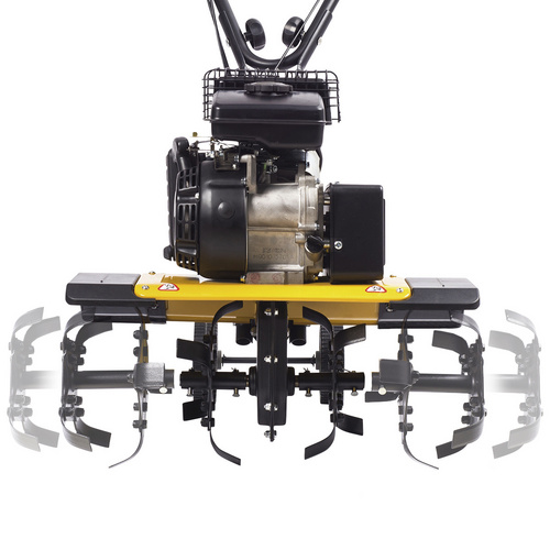 TEXAS Benzin-Motorhacke »Lilli«, 1,6 l...