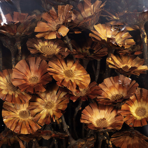 Flowerbox Trockenblumen - orange