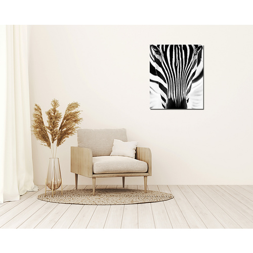 ANY IMAGE Kunstdruck »Zebra I«, mehrfarbig, Alu-Dibond - bunt