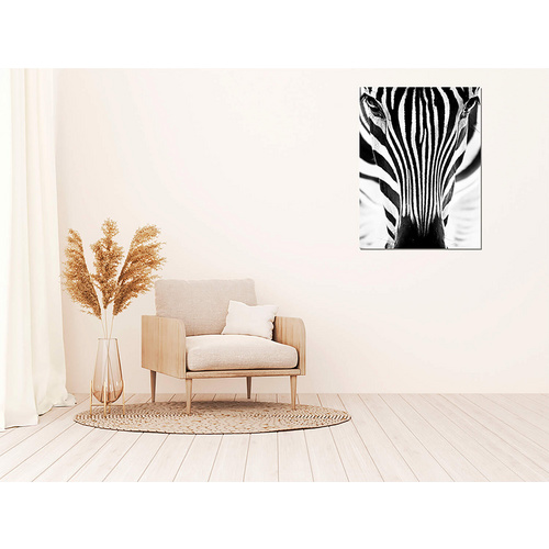 ANY IMAGE Kunstdruck »Zebra I«, mehrfarbig, Alu-Dibond - bunt