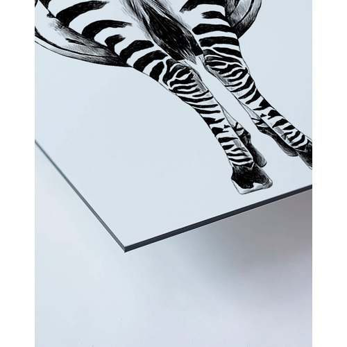 ANY IMAGE Kunstdruck »Zebra II«, mehrfarbig, Alu-Dibond - bunt