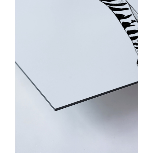 ANY IMAGE Kunstdruck »Zebra II«, mehrfarbig, Alu-Dibond - bunt