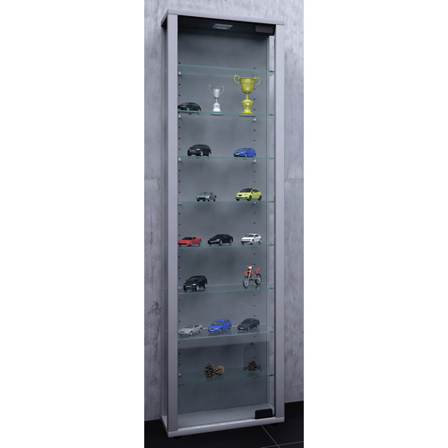 VCM Vitrine »Edana Maxi«, inkl. LED-Beleuchtung, BxH: 33 x 113 cm, Holzwerkstoff/Glas - silberfarben