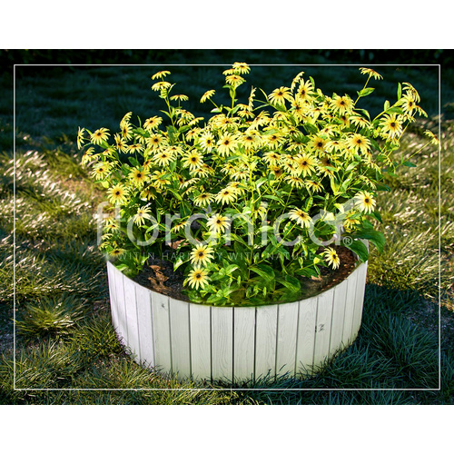 Floranica Beeteinfassung »Rollborder II... Floranica Beeteinfassung »Rollborder II...